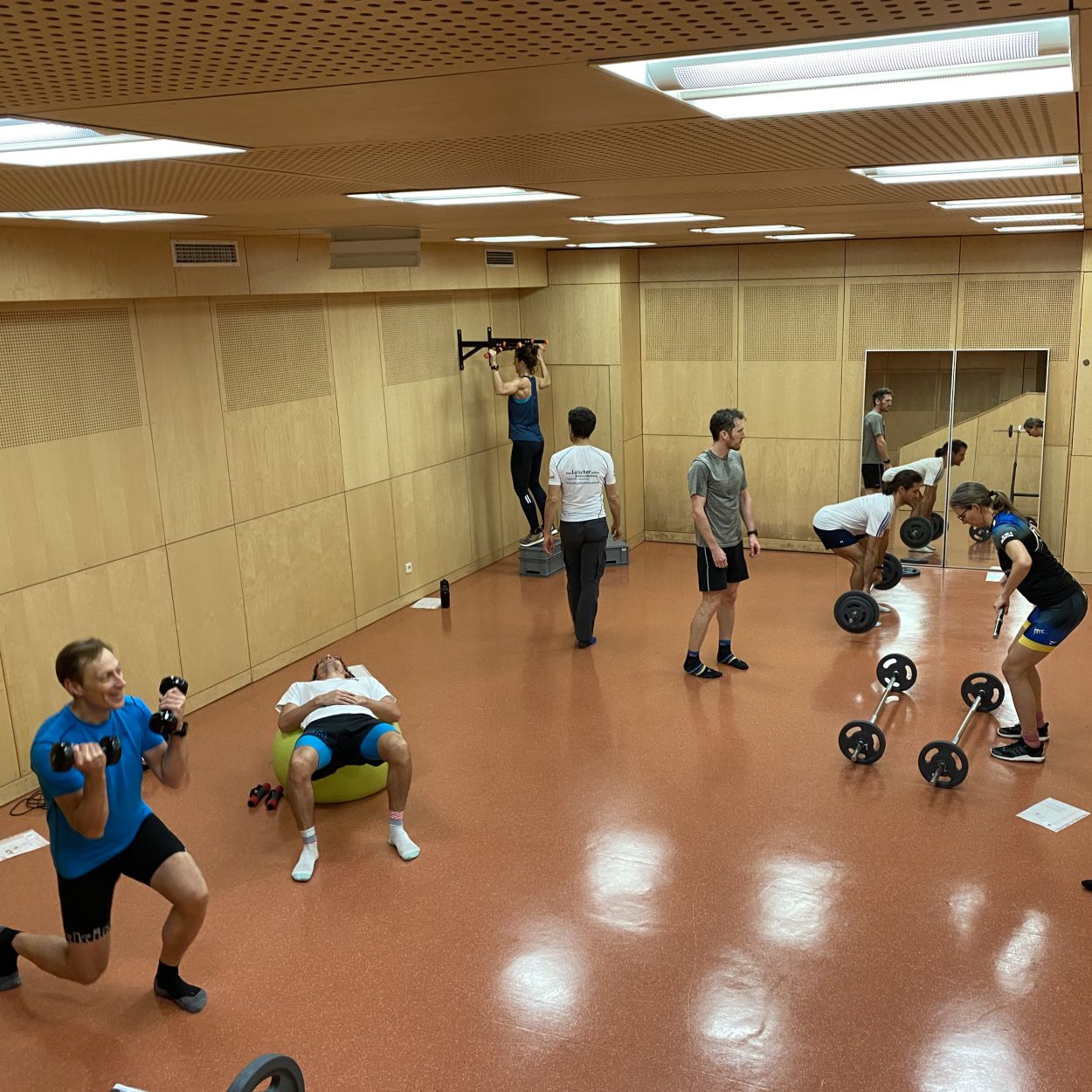 Langhantel-Training (Neu)